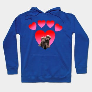 Paw Print Heart Chocolate Labrador Retriever Puppies Hoodie